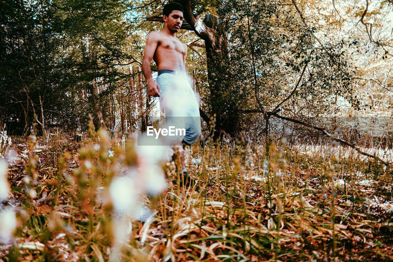 Low angle view of shirtless young man walking in forest