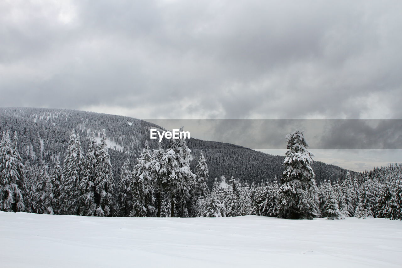 Scenic view of landscape against sky during winter