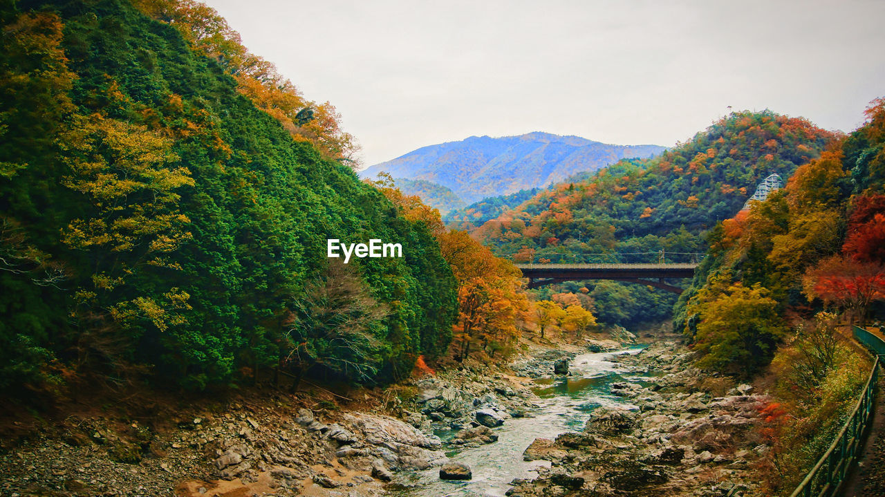 Trees growing on mountain against sky during autumn
