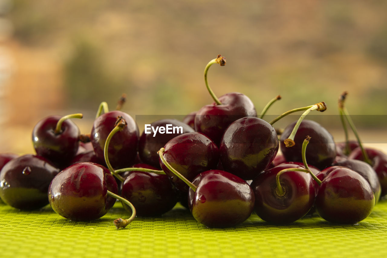 CLOSE-UP OF GRAPES ON TABLE AGAINST PLANTS