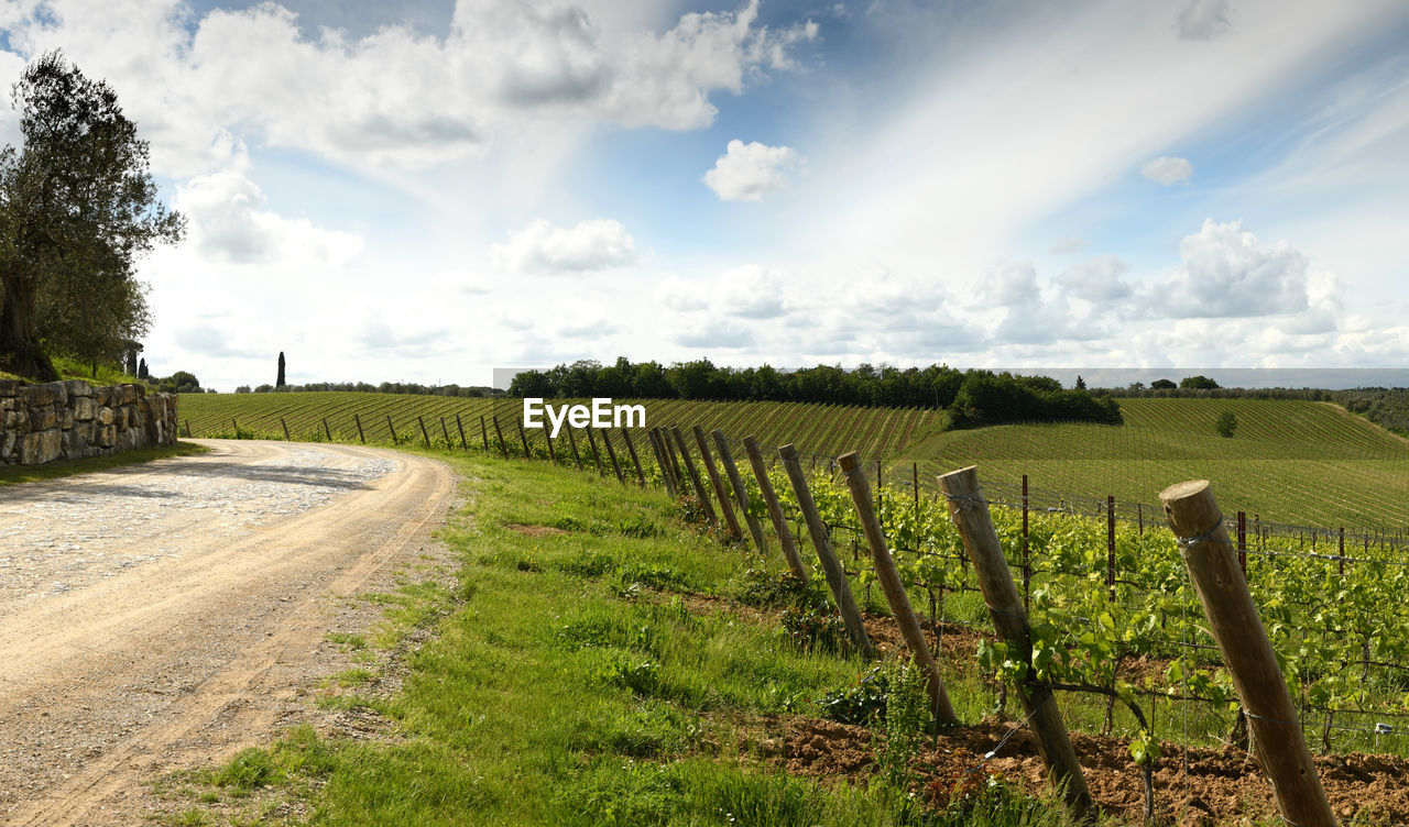 SCENIC VIEW OF AGRICULTURAL LANDSCAPE AGAINST SKY