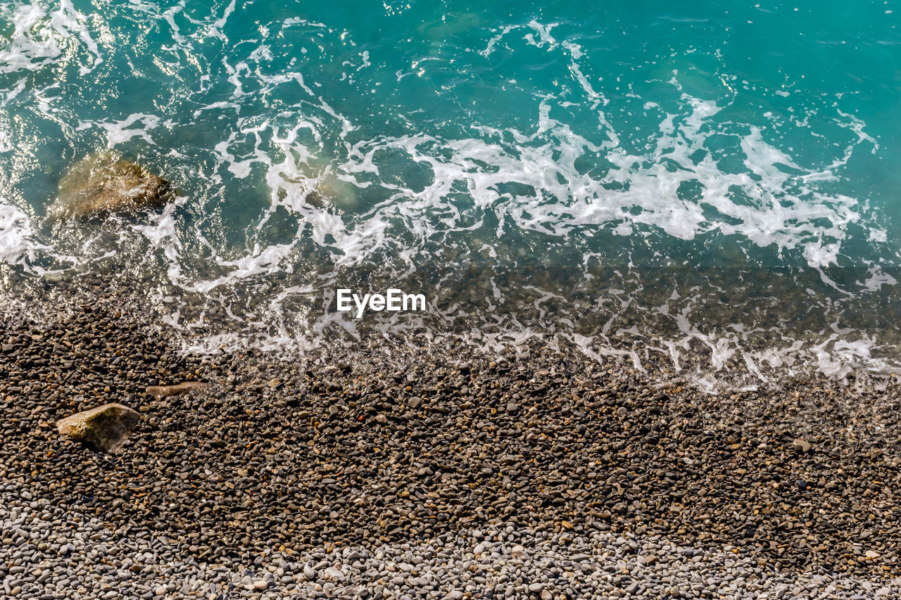 High angle view of starfish on beach