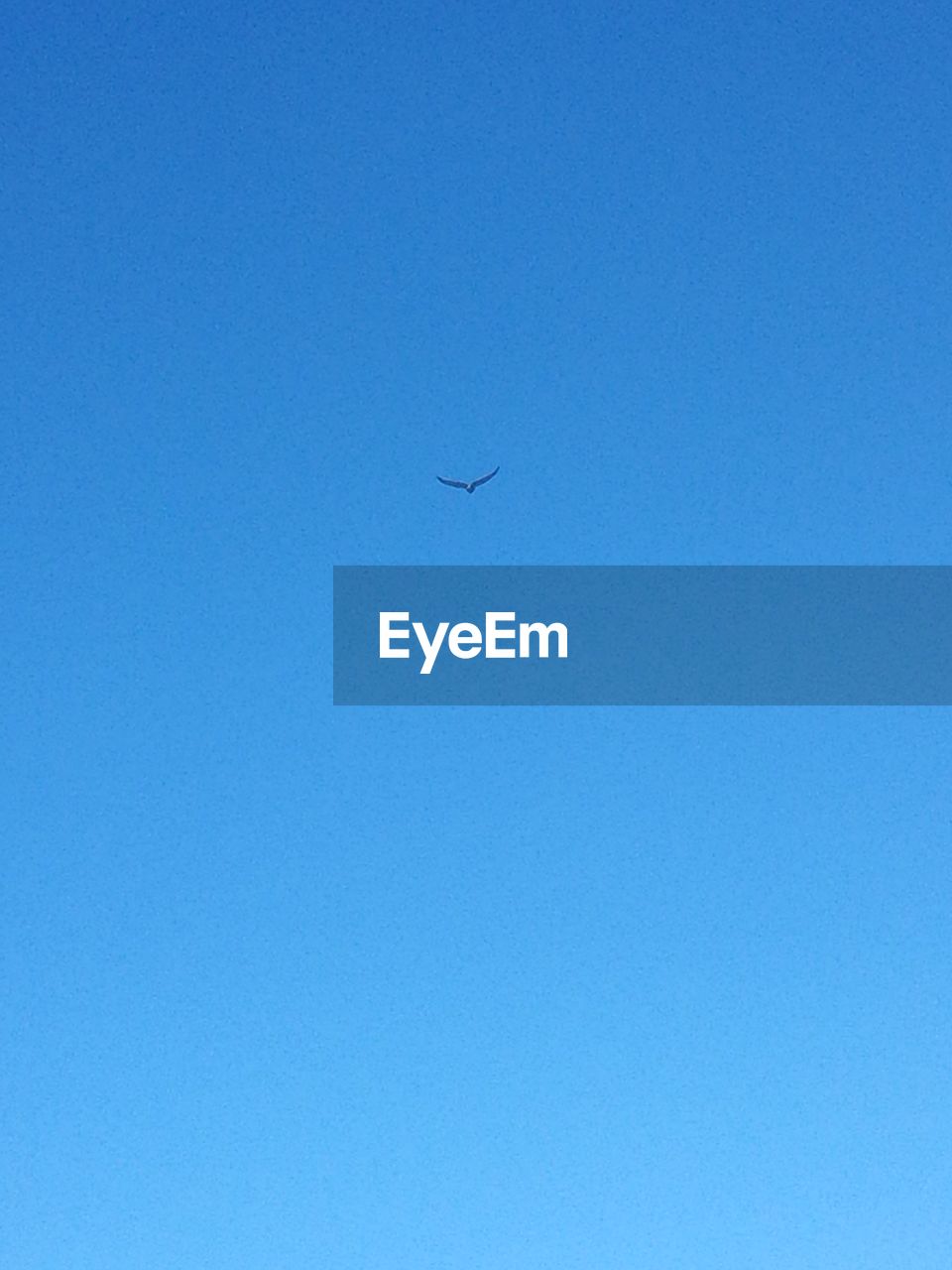 LOW ANGLE VIEW OF AIRPLANE AGAINST CLEAR BLUE SKY
