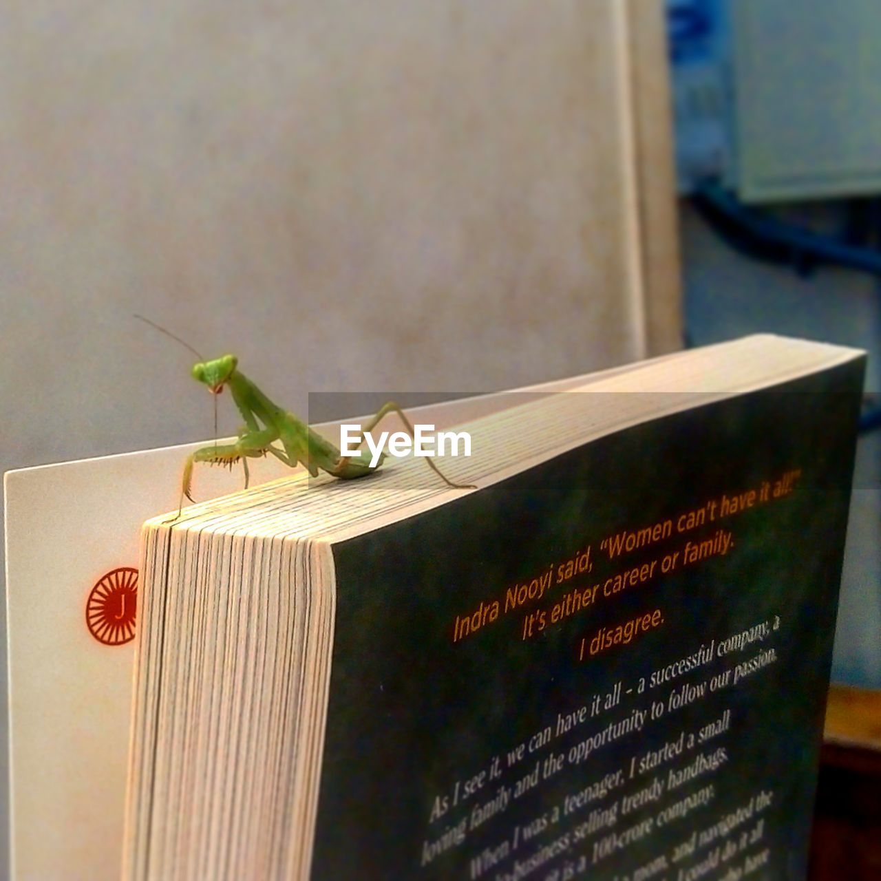 CLOSE-UP OF BOOK ON TABLE