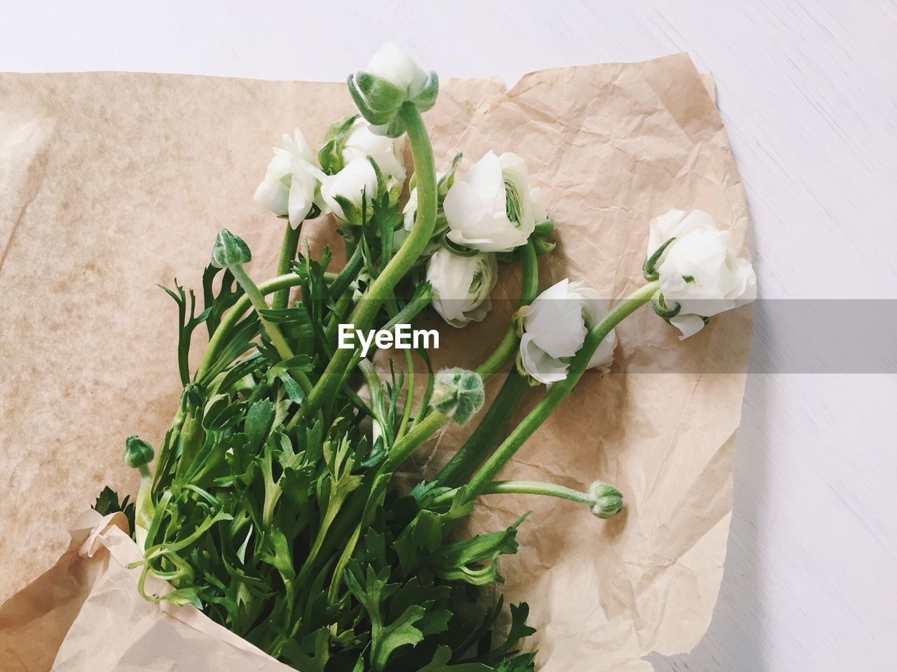 High angle view of white flowers on table