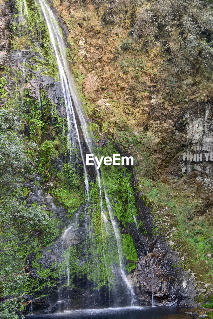 SCENIC VIEW OF WATERFALL AMIDST TREES