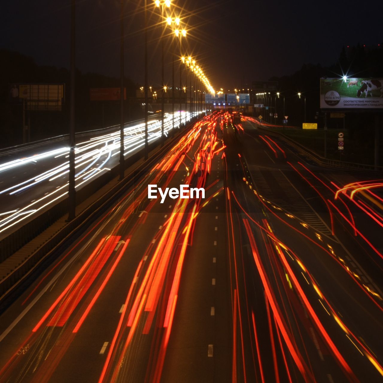 LIGHT TRAILS ON ILLUMINATED CITY STREET