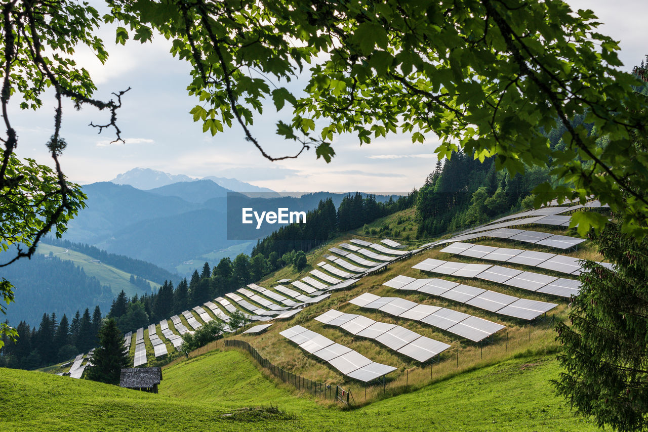 Photovoltaic solar power station, farm located on a mountains slope in the alps, green trees, grass