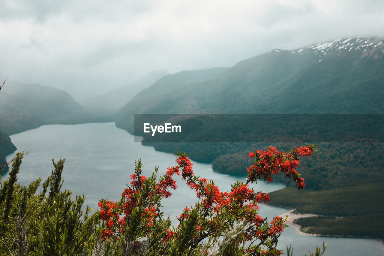 Patagonian landscape