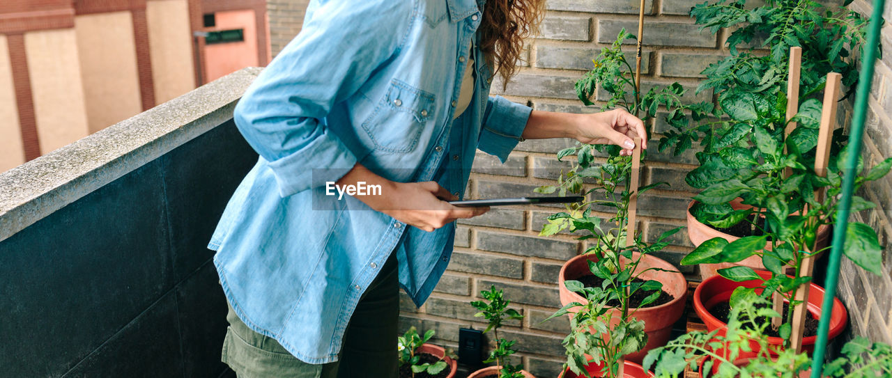 Woman checking plants of urban garden on terrace while holding digital tablet in hand