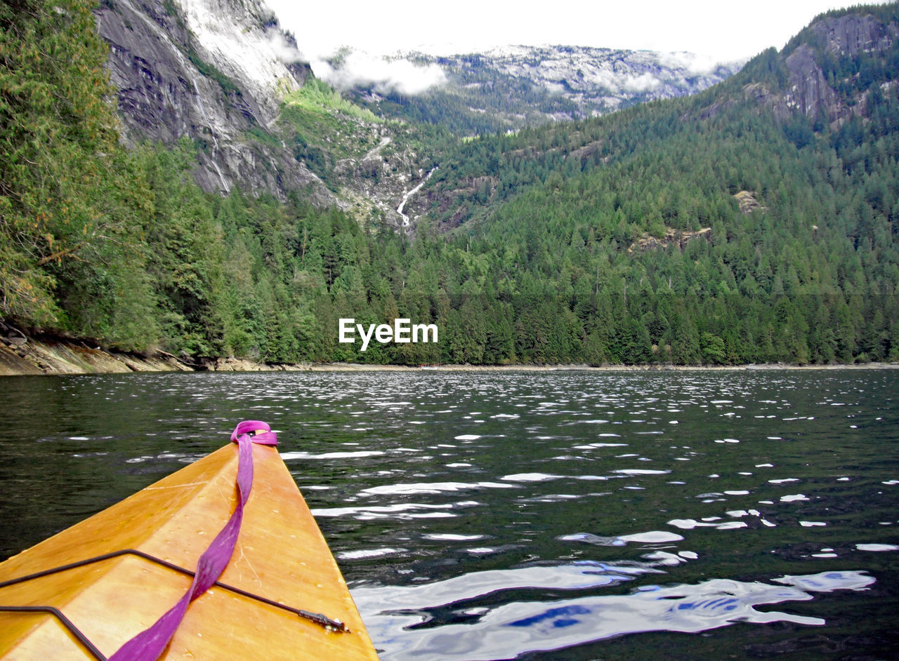 SCENIC VIEW OF LAKE IN FOREST