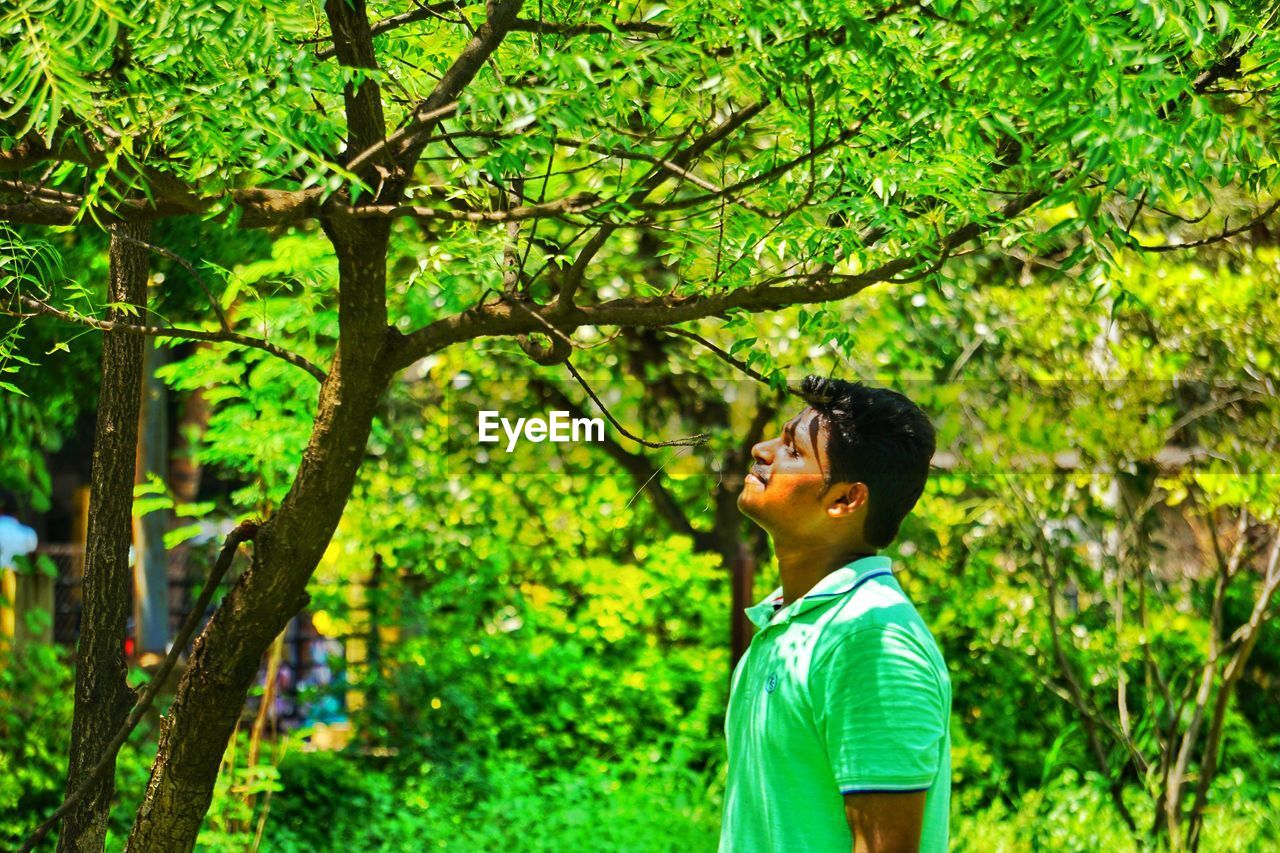 Side view of boy looking up in forest