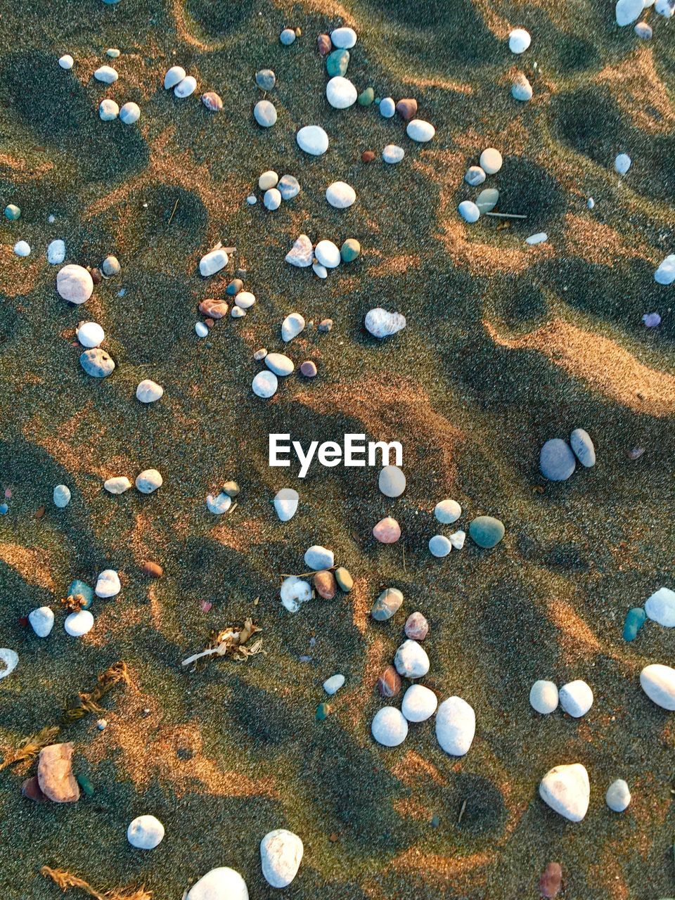 FULL FRAME SHOT OF PEBBLES ON BEACH