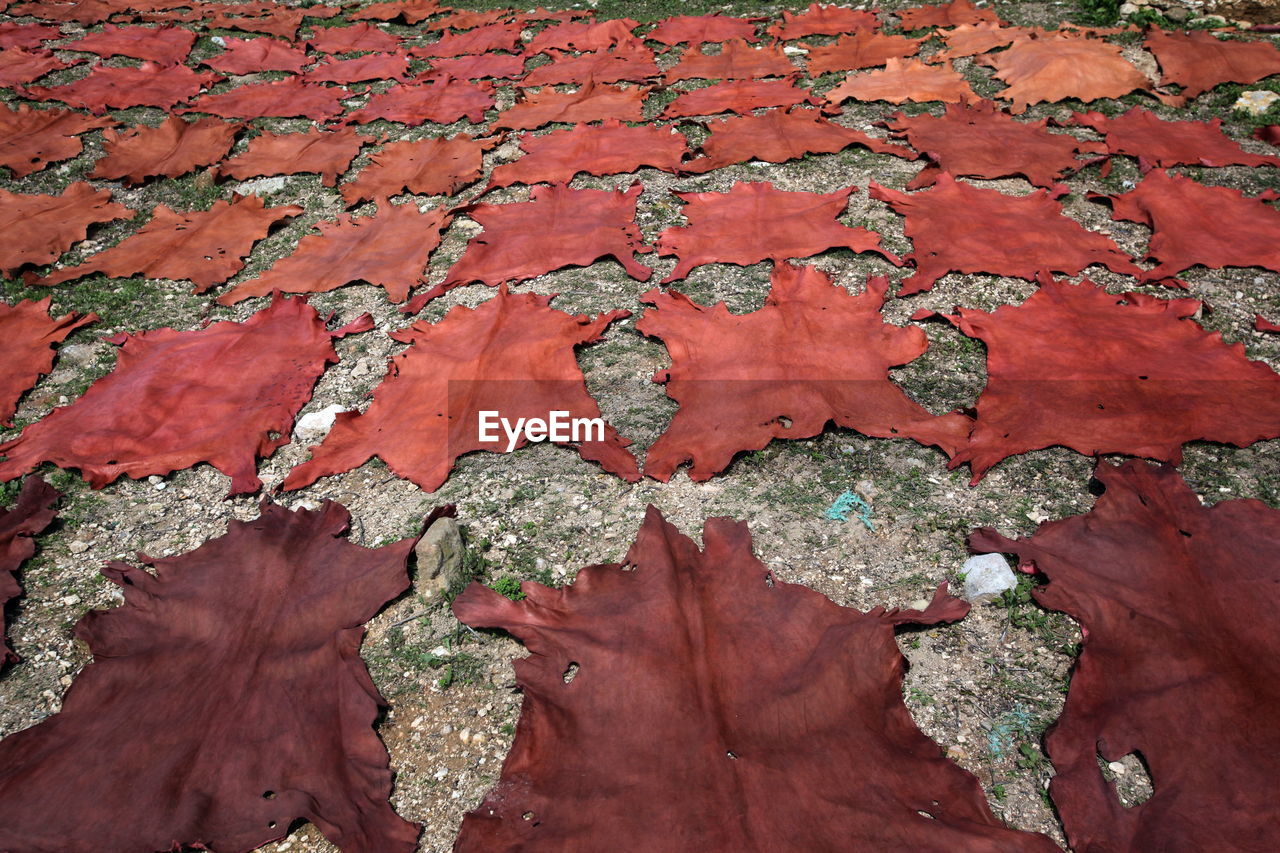 High angle view of dyed fabrics drying on field