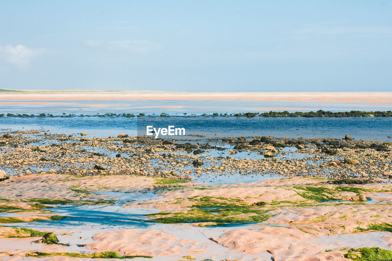 SCENIC VIEW OF SHORE AGAINST SKY