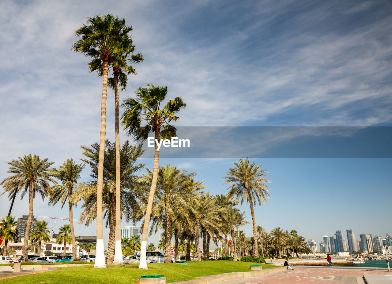 PALM TREES BY PLANTS AGAINST SKY