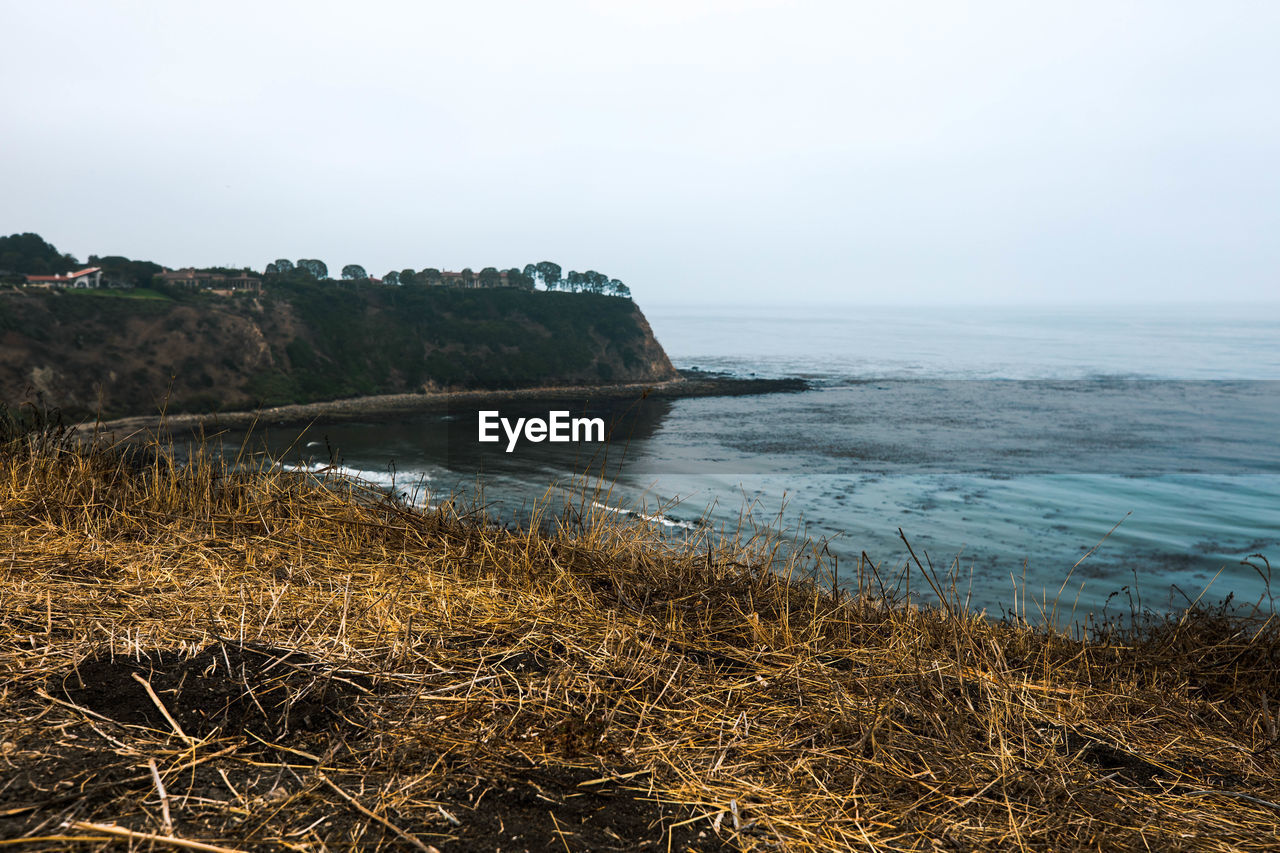 SCENIC VIEW OF BEACH AGAINST CLEAR SKY