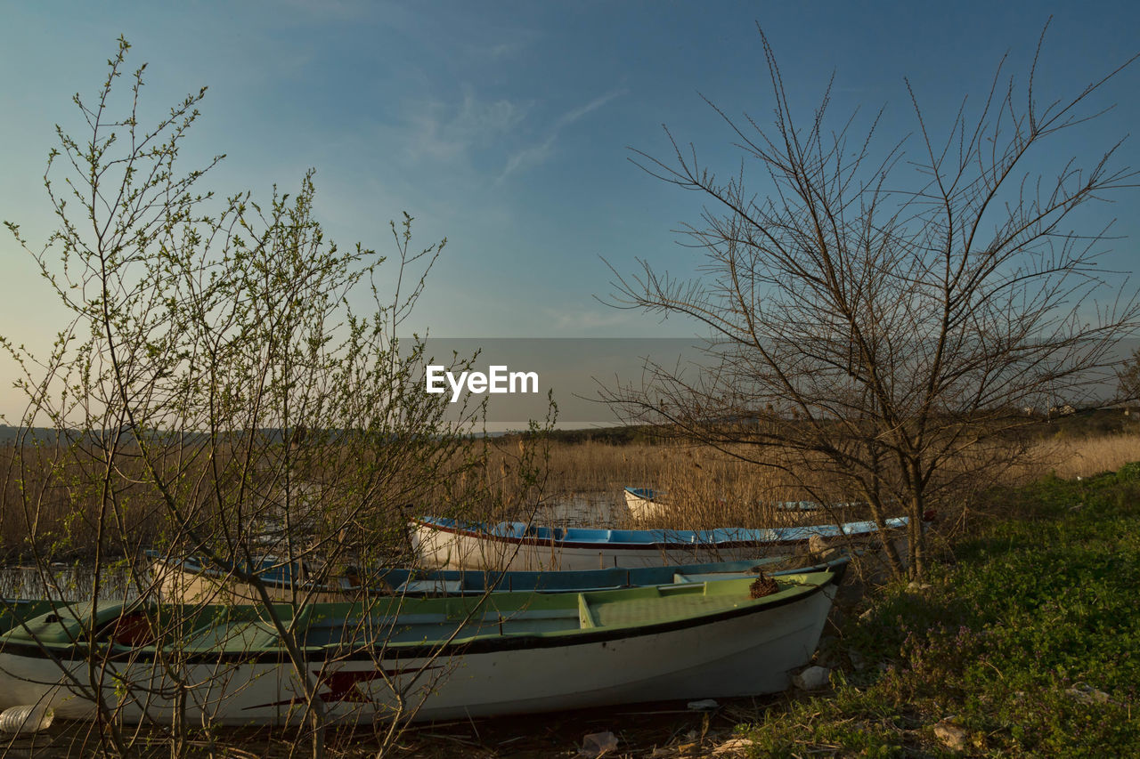 Boats at lakeshore