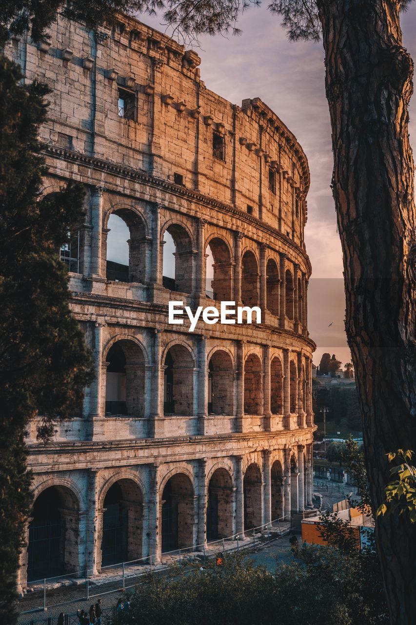 Sunset in rome, colosseum view 