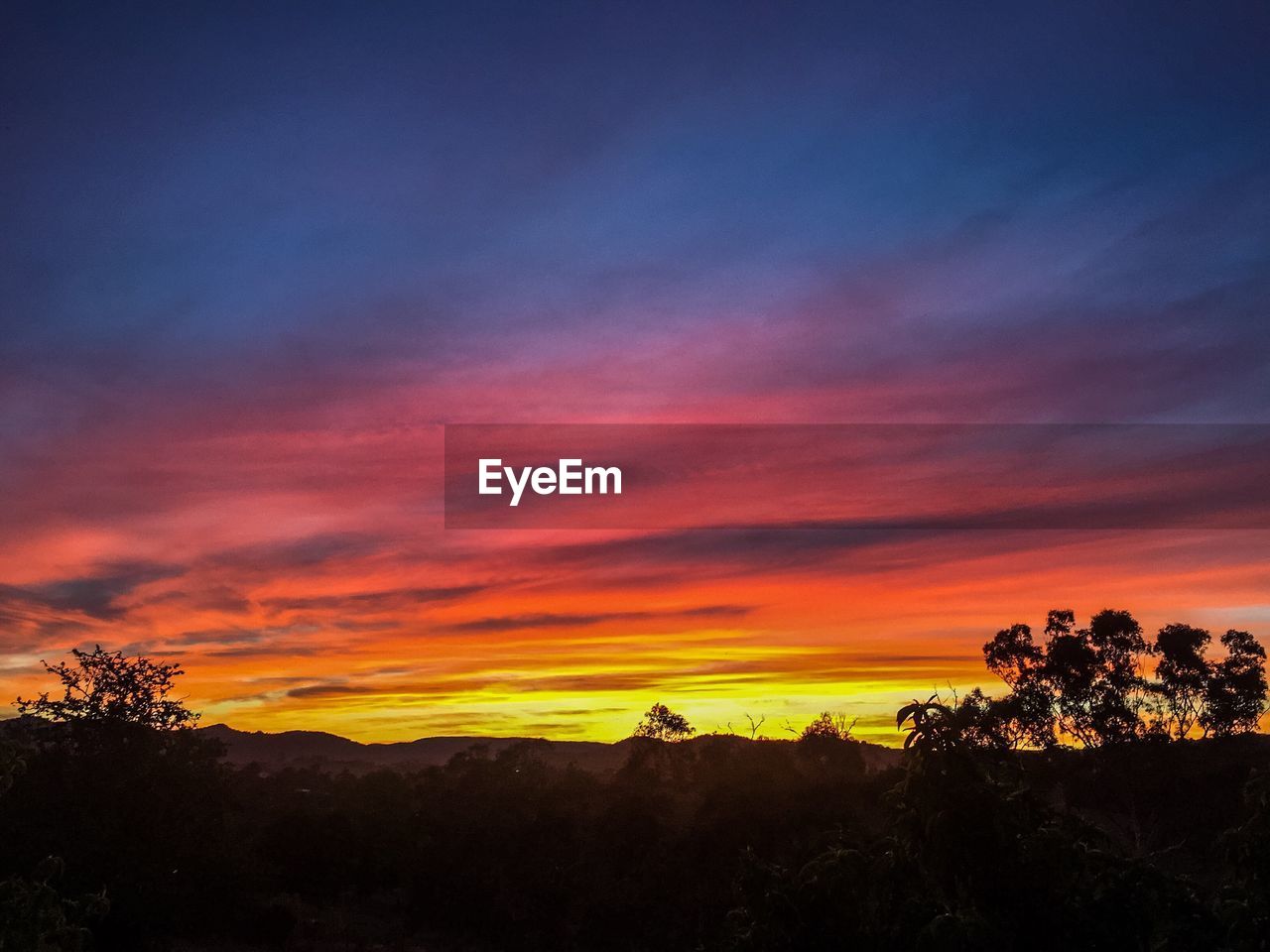 SILHOUETTE TREES AGAINST SKY AT SUNSET