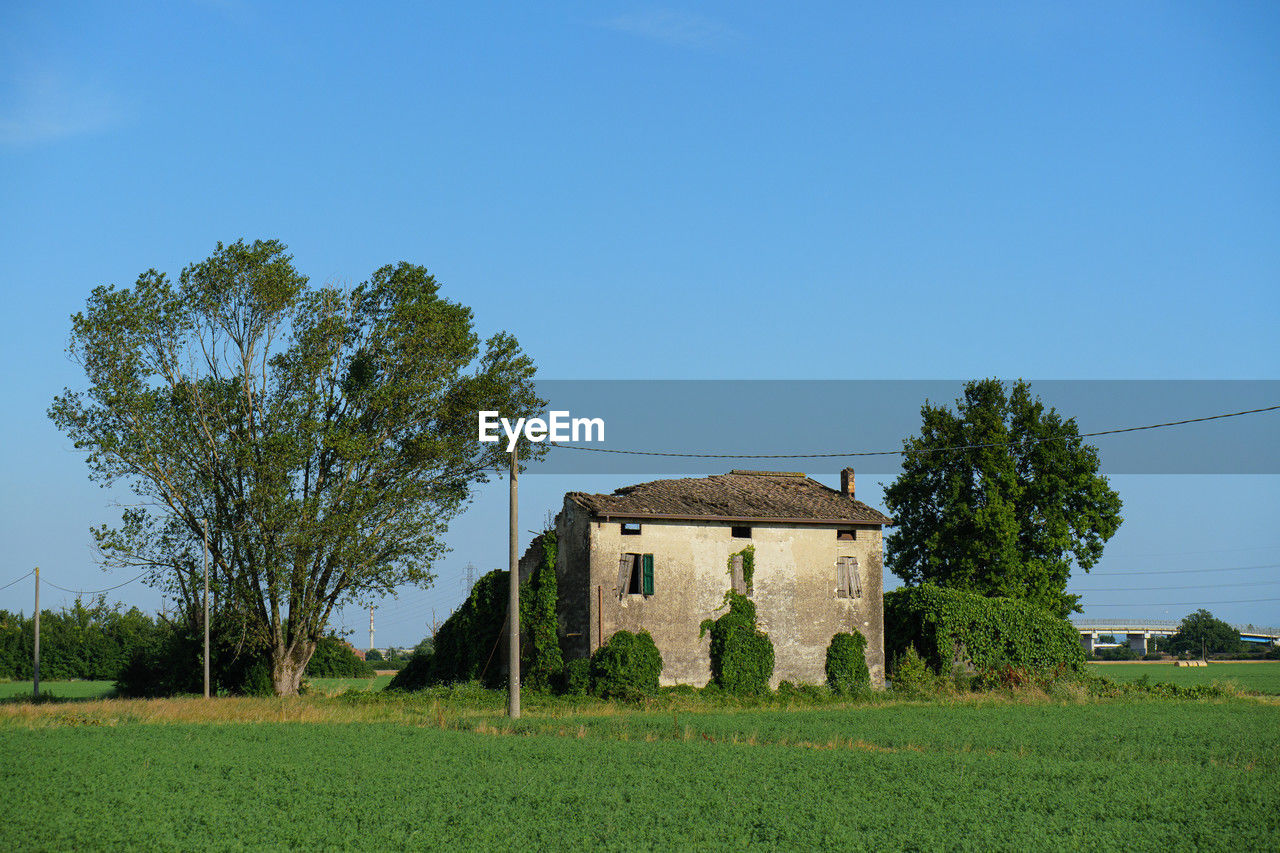 plant, architecture, sky, rural area, built structure, tree, building, grass, house, landscape, rural scene, building exterior, nature, field, farm, land, blue, residential district, agriculture, clear sky, green, no people, pasture, environment, agricultural building, meadow, outdoors, hill, day, scenics - nature, copy space, home, farmhouse, non-urban scene, abandoned, estate, tranquility, history, plain, growth, beauty in nature