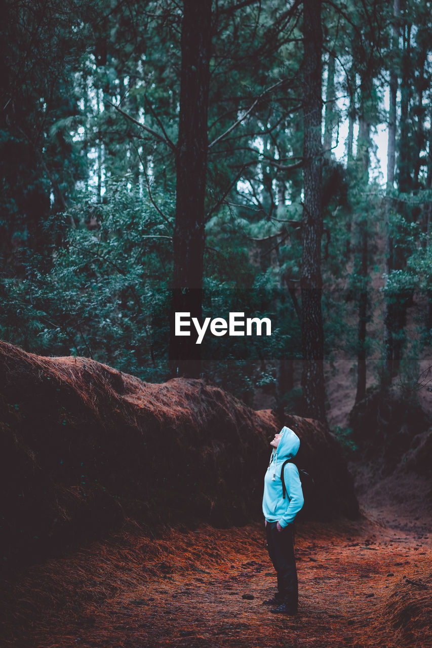 Man standing by trees in forest