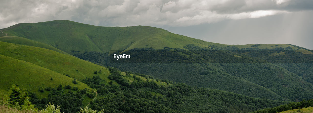 environment, nature, landscape, land, mountain, cloud, scenics - nature, plant, sky, highland, beauty in nature, green, mountain range, tree, forest, rural scene, panoramic, no people, valley, social issues, tranquility, rural area, tea crop, travel, environmental conservation, overcast, field, outdoors, lush foliage, foliage, non-urban scene, travel destinations, tourism, agriculture, ridge, tranquil scene, meadow, crop, dramatic sky, grass, plateau, day, summer, fog