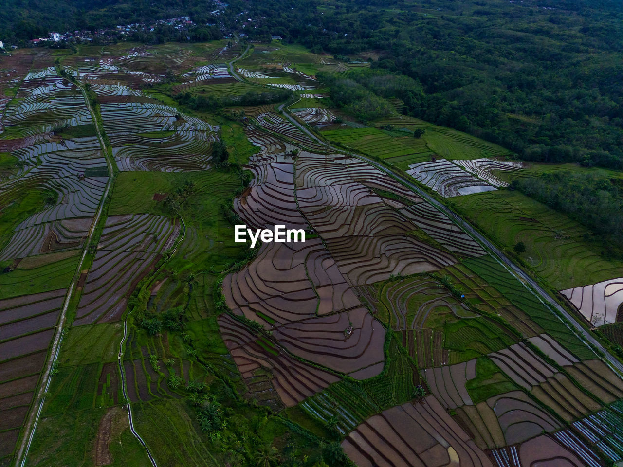 Aerial view beautiful morning view from indonesia about mountain and forest