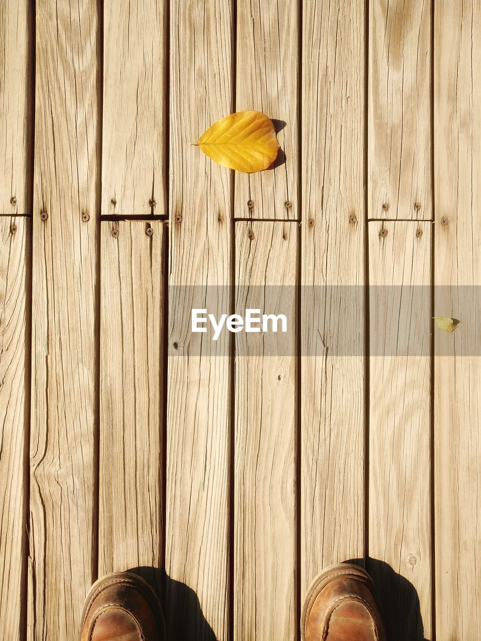 Low section of person standing on wooden floor