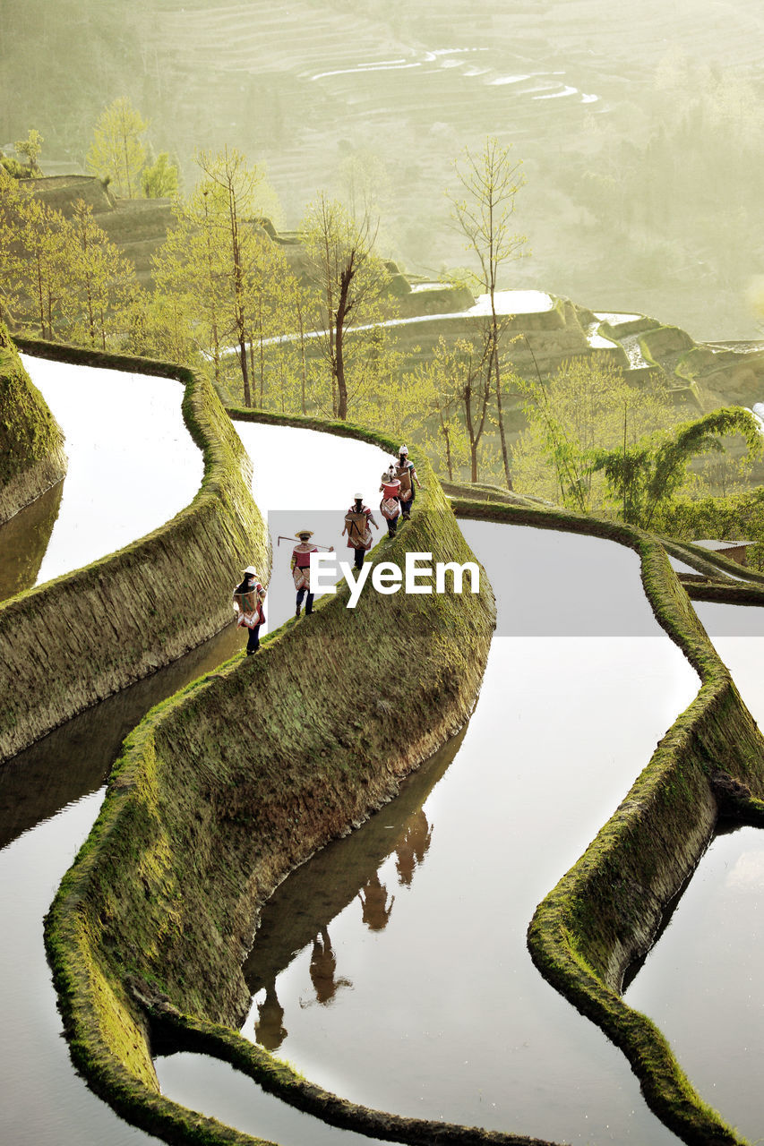 High angle view of people on terraced fields
