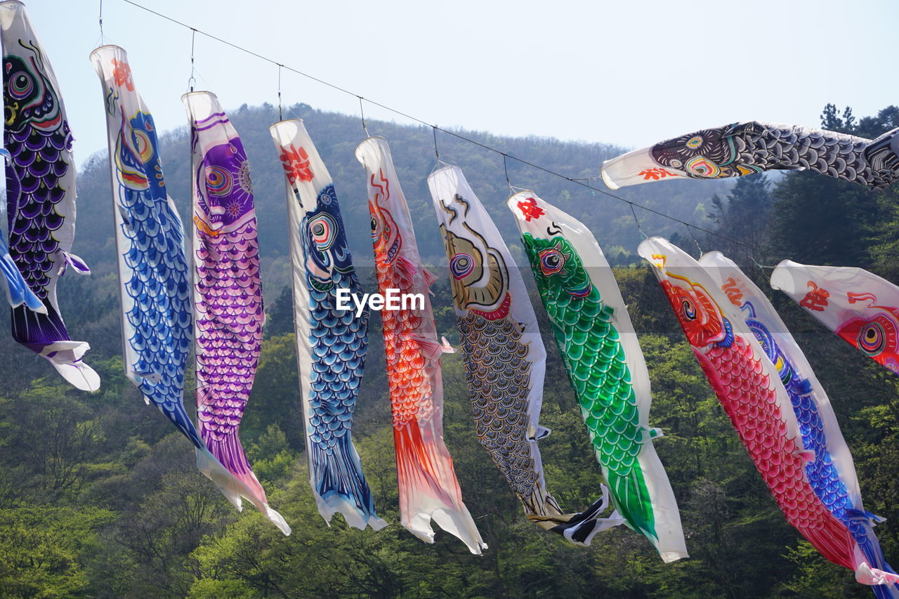 MULTI COLORED FISH HANGING ON CLOTHESLINE