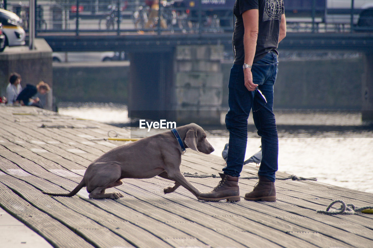 Low section of man standing with dog on promenade by river