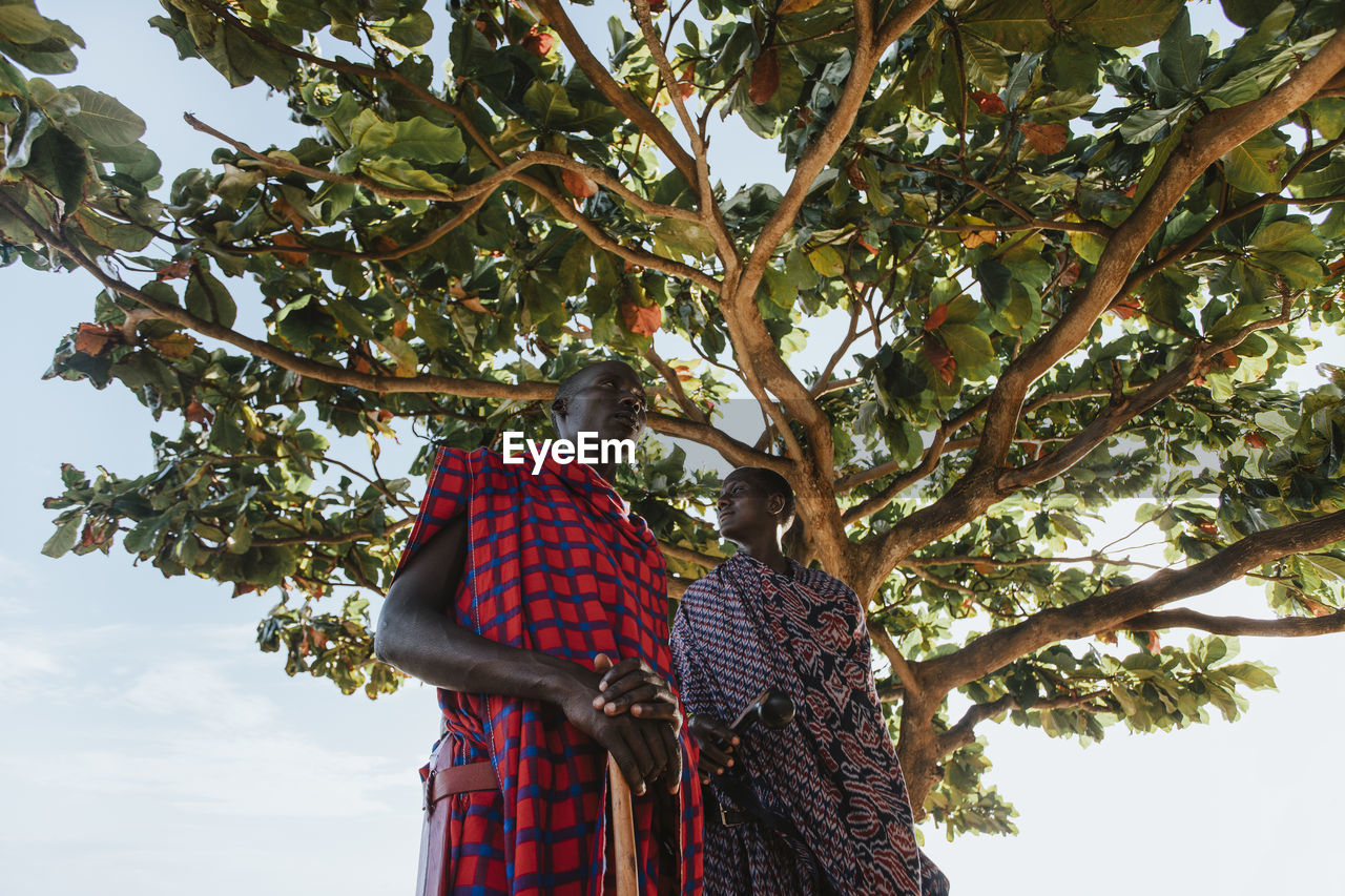 Two masai men in traditional clothes standing under big mkungu tree