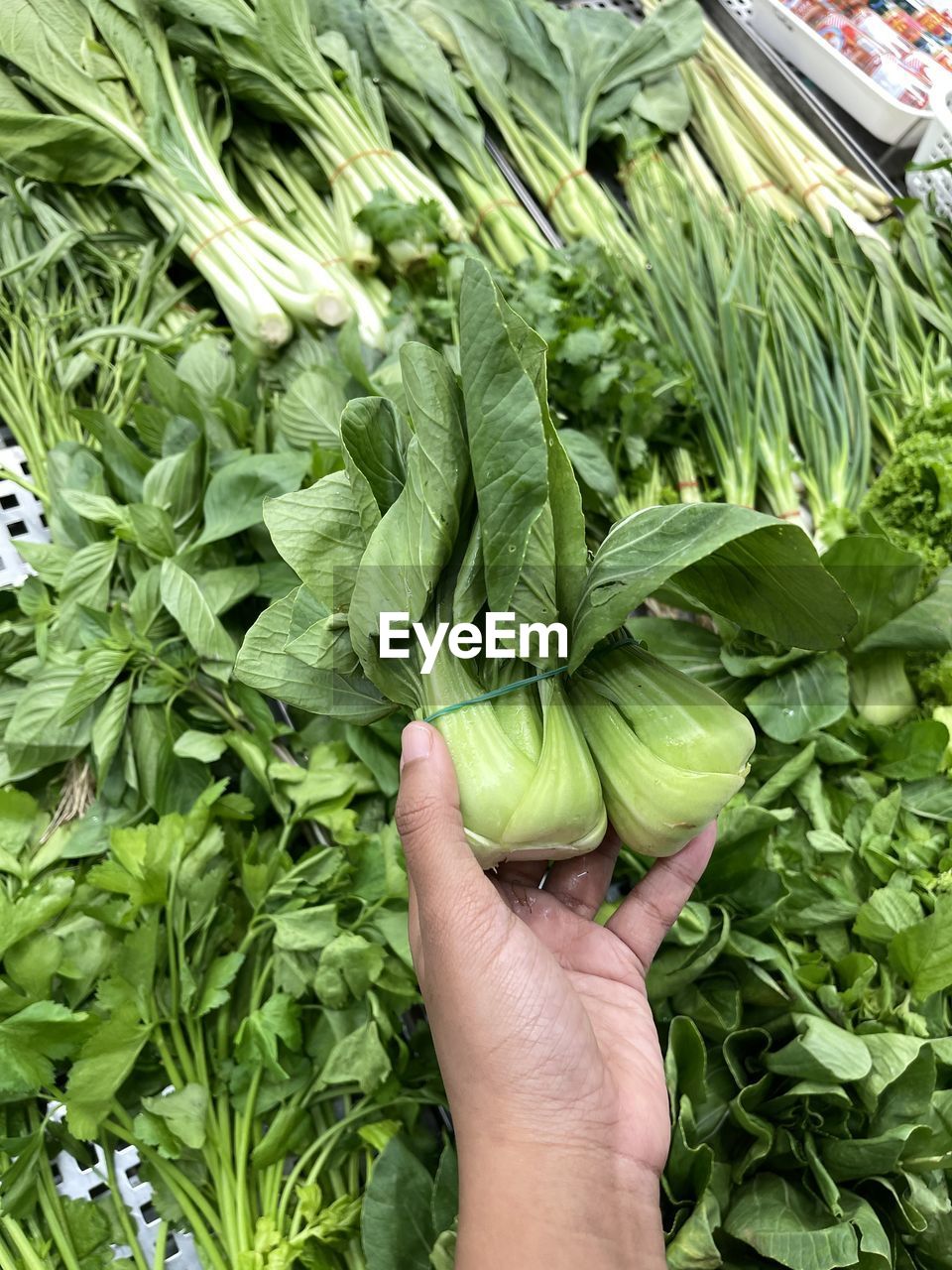 hand, food and drink, food, freshness, vegetable, green, healthy eating, wellbeing, one person, produce, holding, organic, adult, high angle view, plant part, agriculture, leaf, plant, raw food, day, abundance, nature, retail, lifestyles, growth, outdoors, business, flower, market, close-up