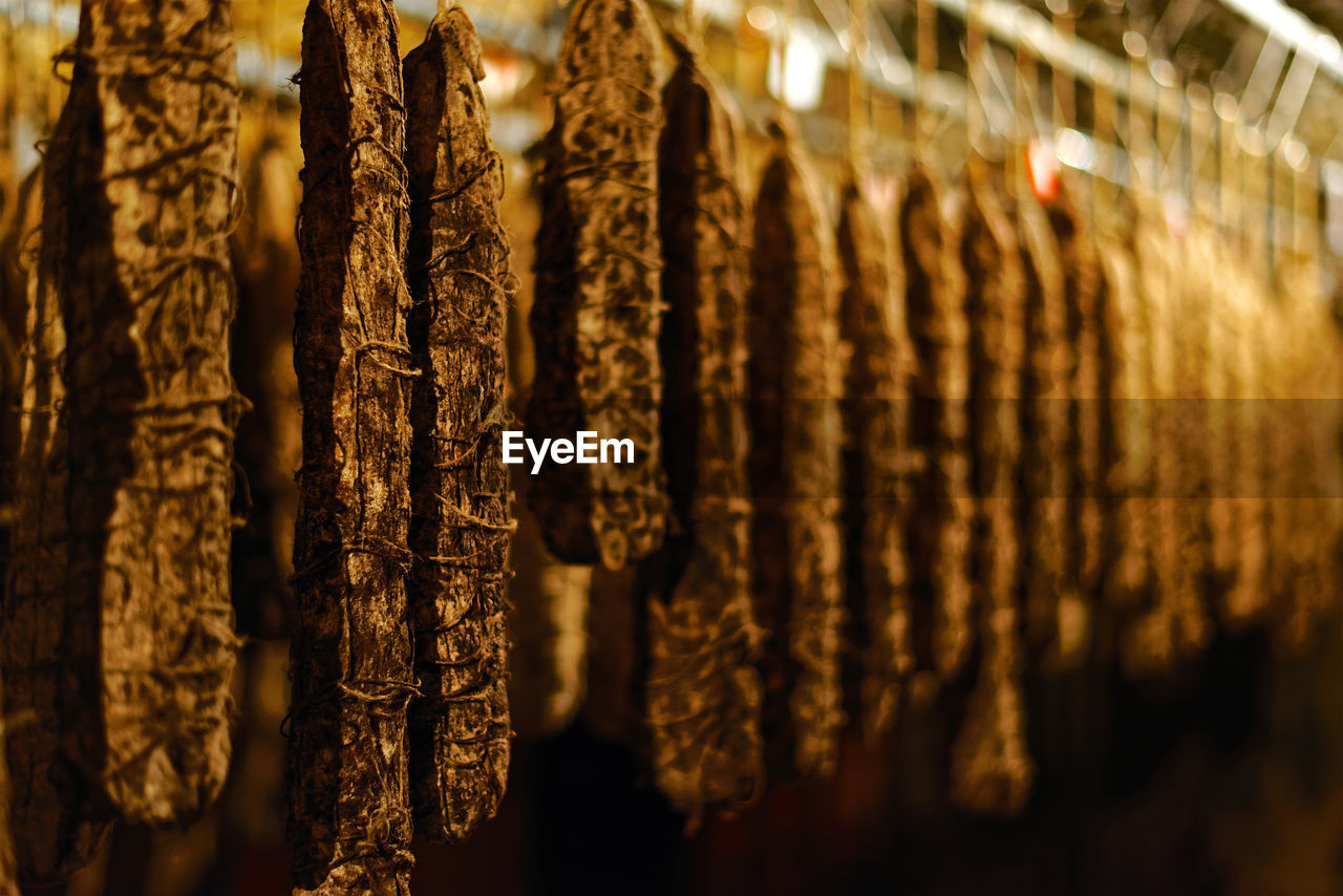 Close-up of salami maturing in the cellar