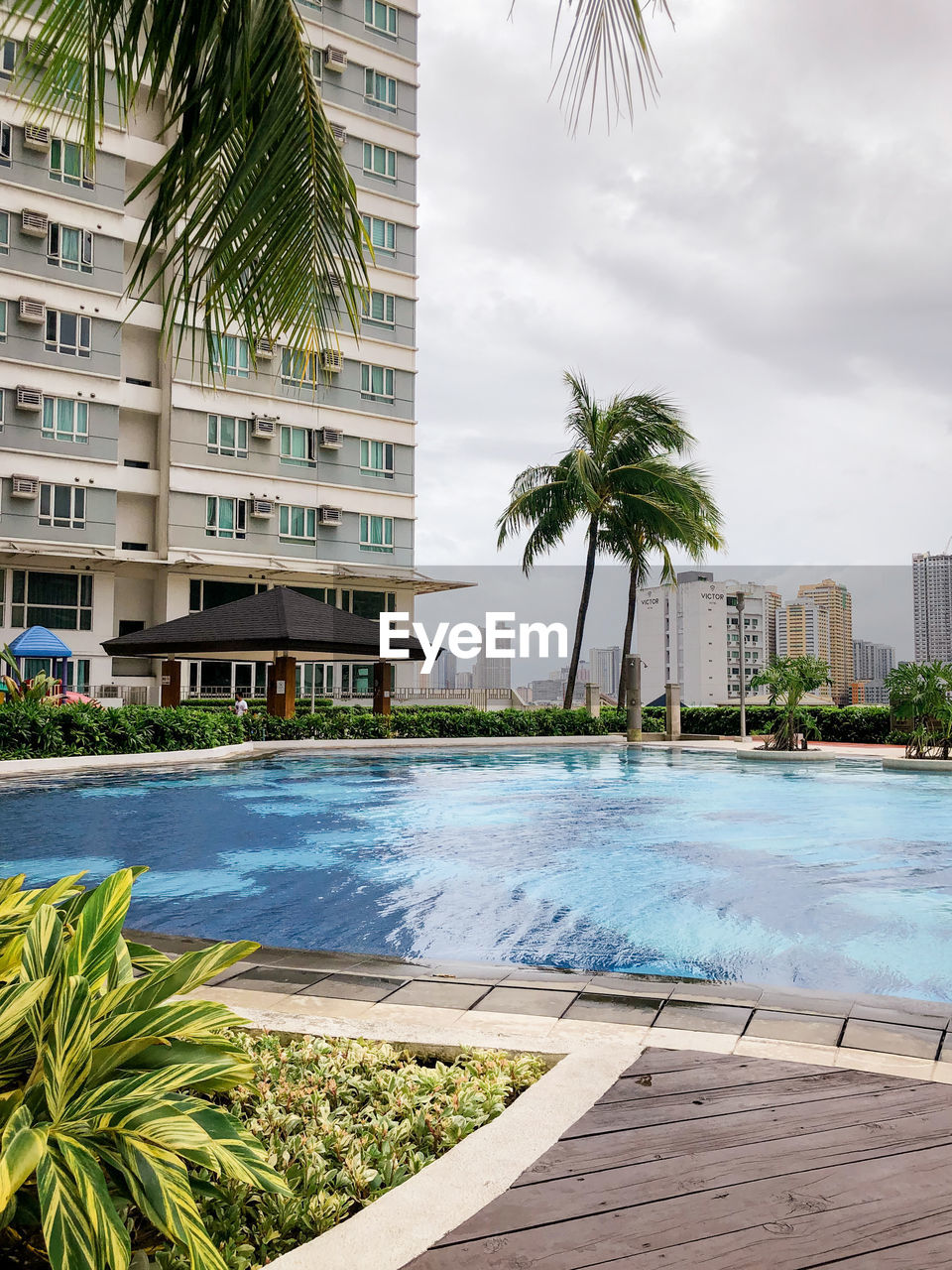 PALM TREES BY SWIMMING POOL AGAINST BUILDINGS