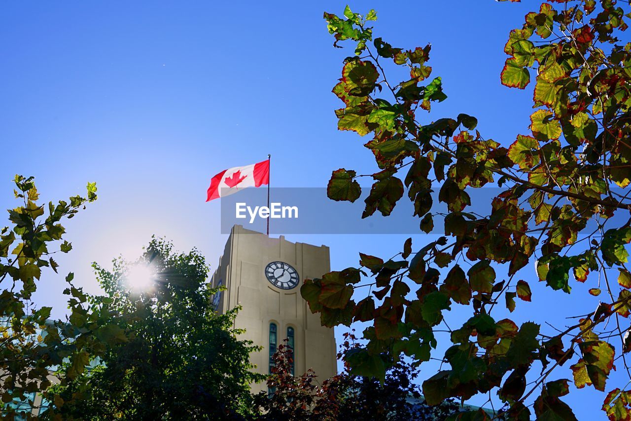 LOW ANGLE VIEW OF FLAG AGAINST BUILDING AND TREES AGAINST CLEAR SKY