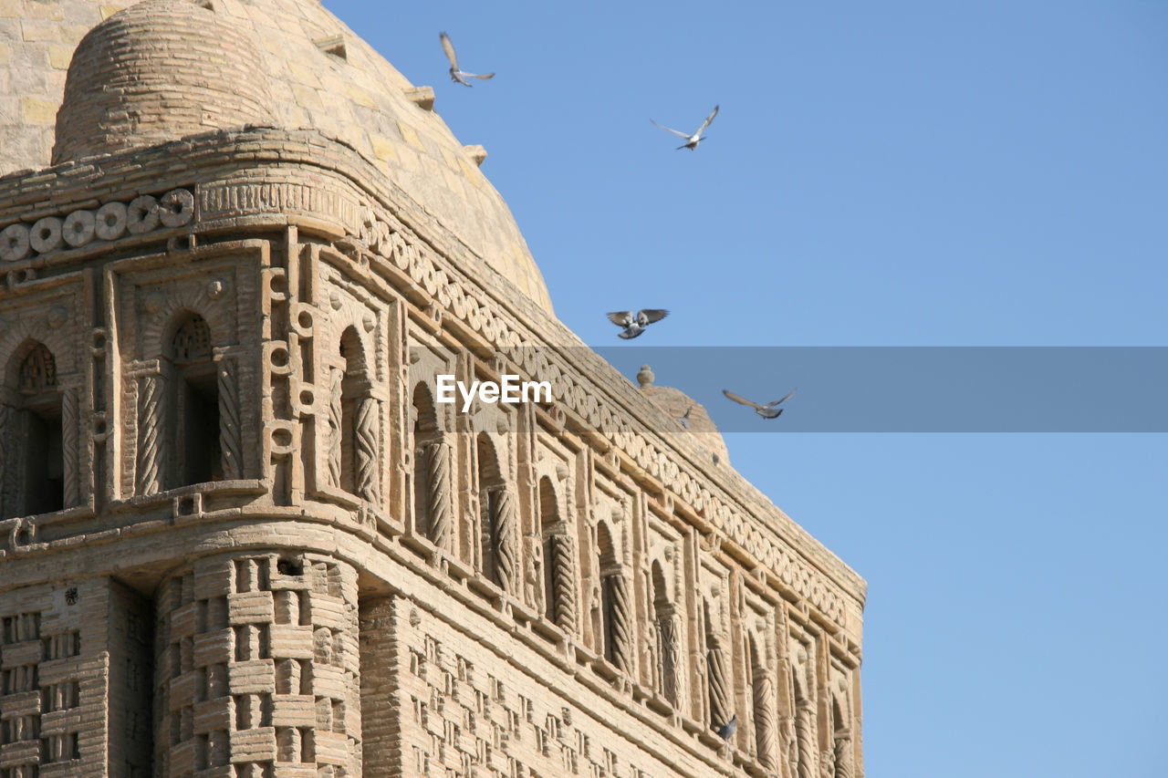 Low angle view of birds flying over po-i-kalyan against clear blue sky