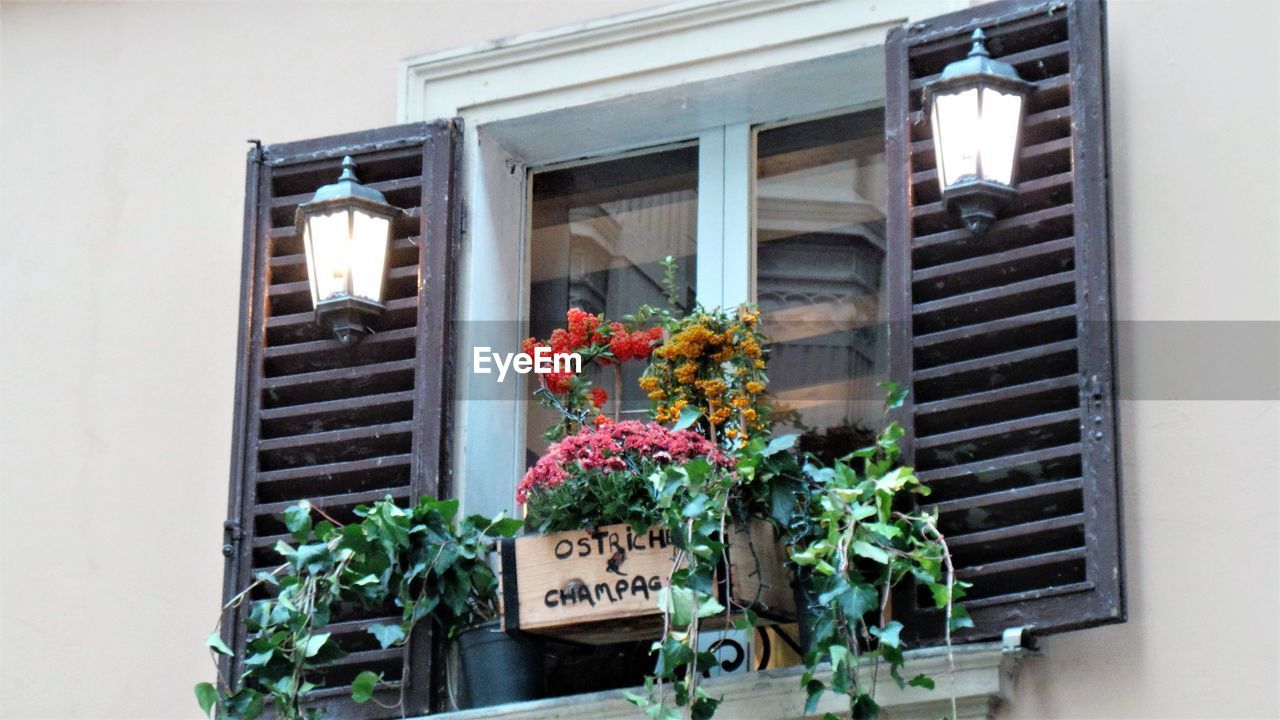 FLOWERS BLOOMING BY WINDOW ON BUILDING