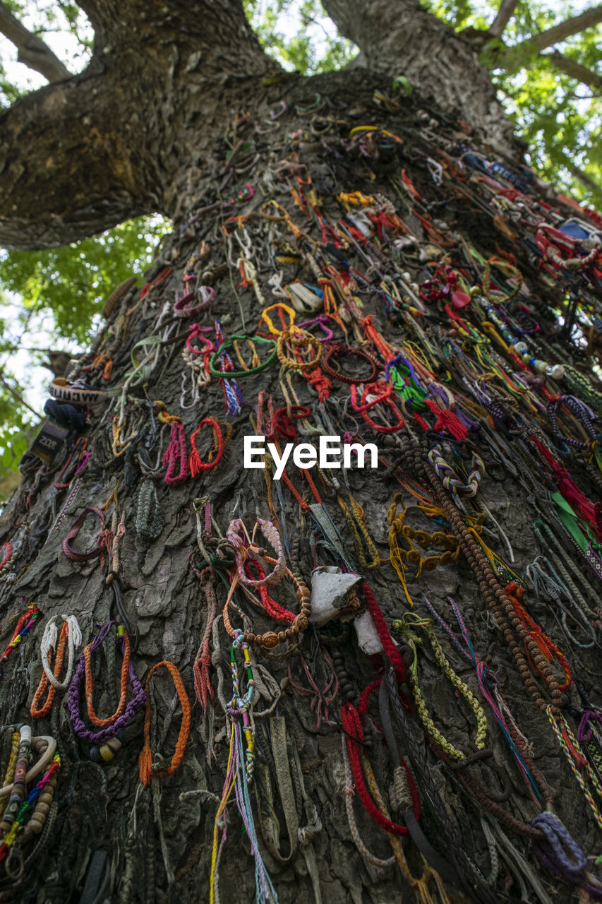 Low angle view of praying threads tied on tree trunk