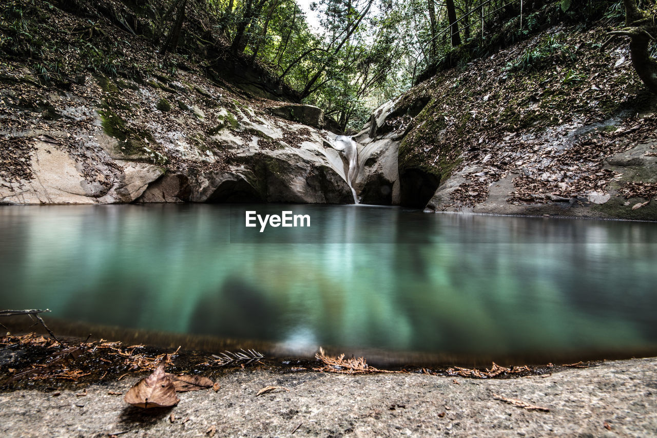 SCENIC VIEW OF RIVER AMIDST TREES