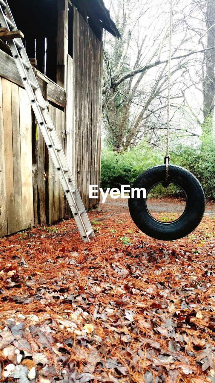 Tire swing hanging by house during autumn