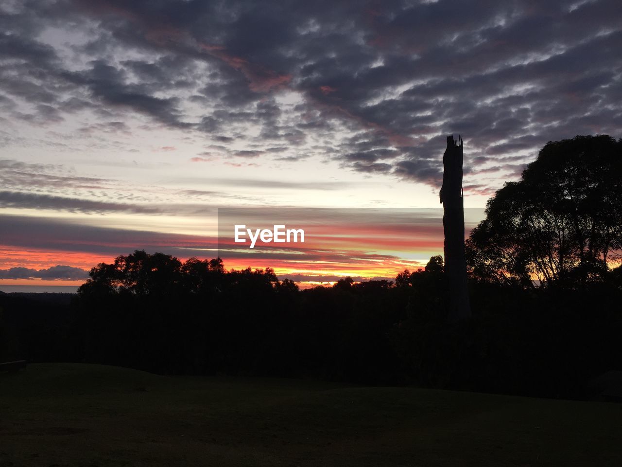 Silhouette of trees on field against sky at sunset