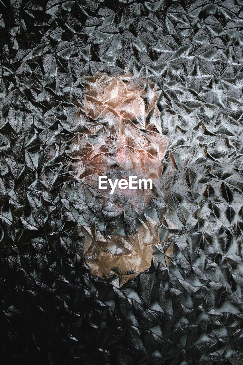 Close-up of man standing behind patterned glass window