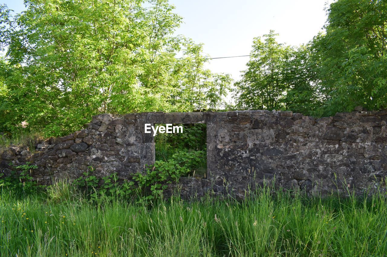 Abandoned wall on grassy field