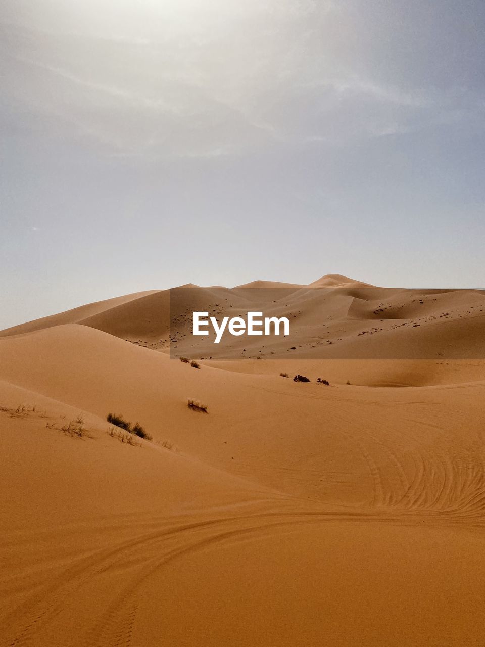 sand dunes in desert against sky