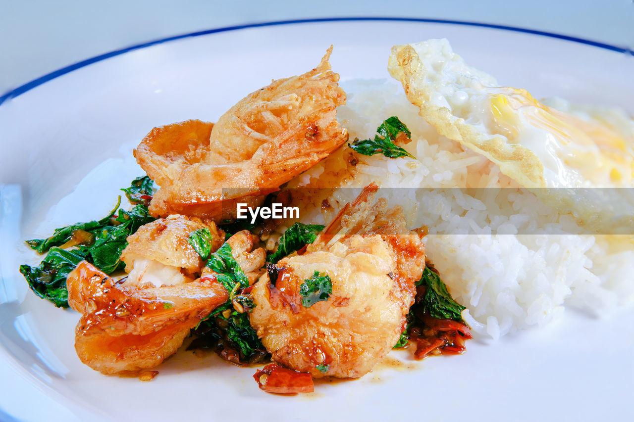 CLOSE-UP OF MEAL SERVED IN PLATE