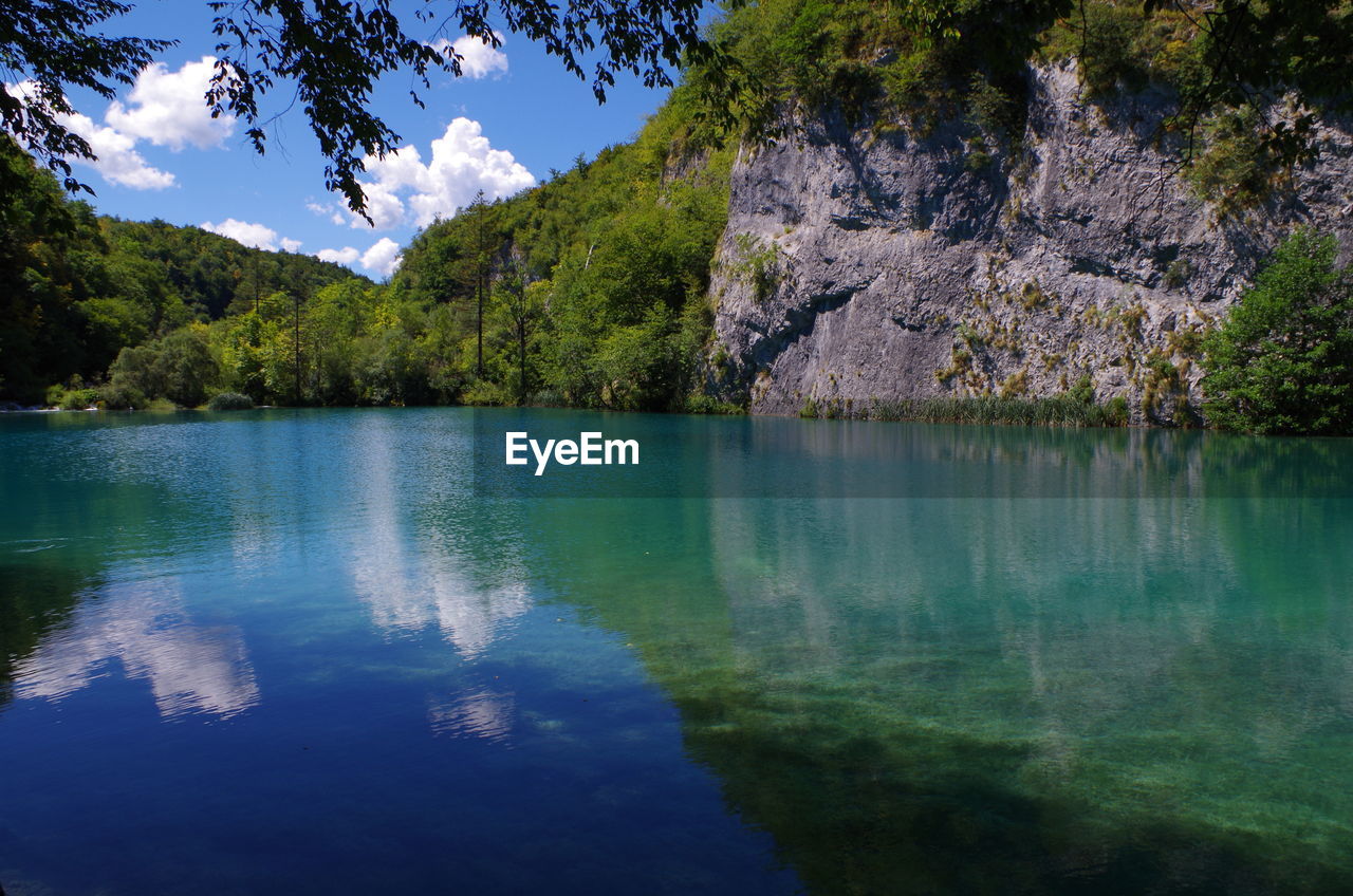 Scenic view of lake by trees against sky