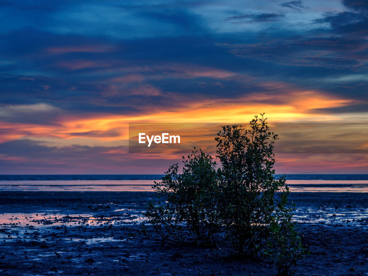 SCENIC VIEW OF SEA DURING SUNSET