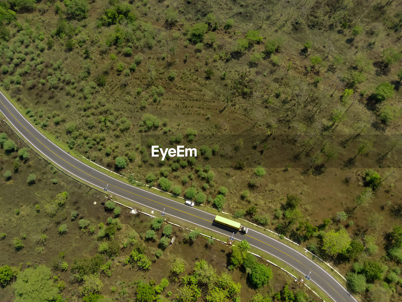 Aerial shot of road between the forests in national park situbondo, east java